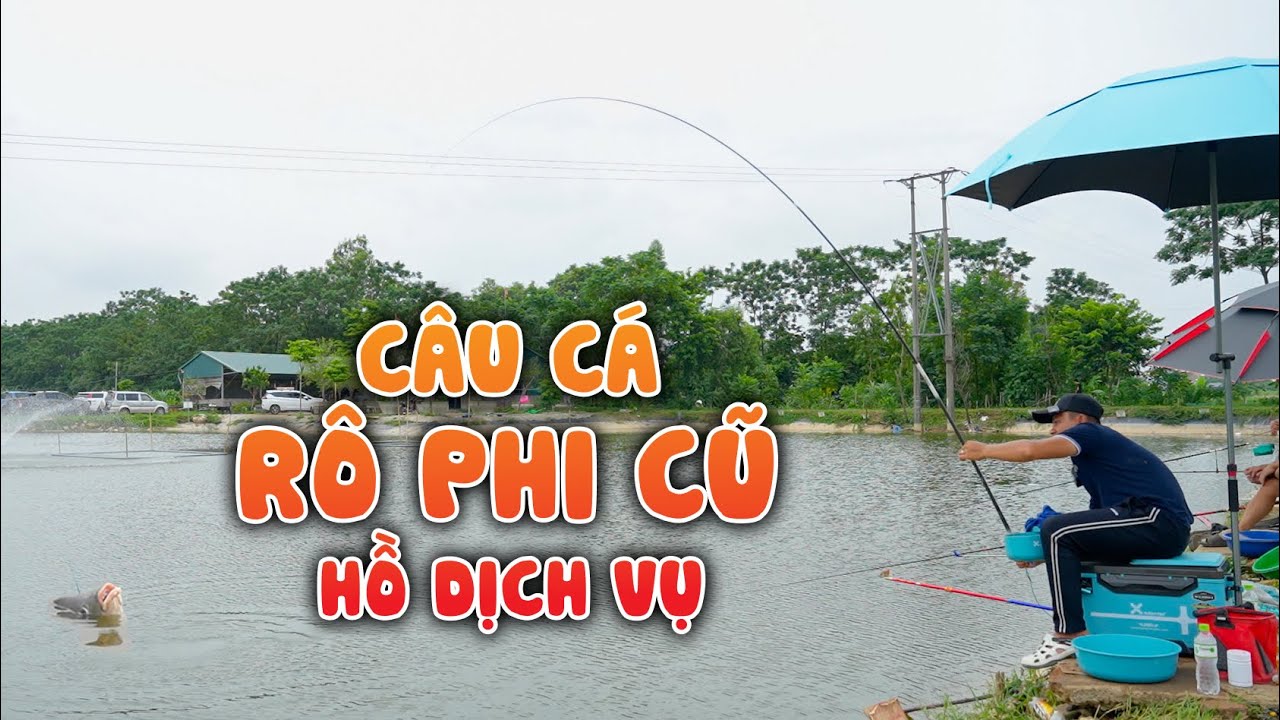 Kỹ Thuật Câu Cá Rô Cũ Hồ Dịch Vụ | Bộ Mồi Gấu Rô - YouTube