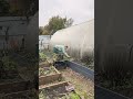 Вечерок на даче и грядочка готова к посадке клубники