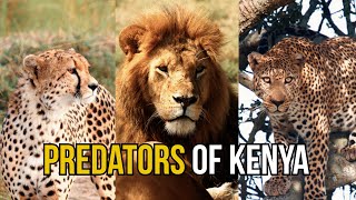 Predators of Kenya - Dean Schneider by Dean Schneider 1,254,799 views 2 years ago 17 minutes