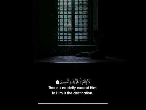 الشيخ محمود الشحات غافر الذنب وقابل التوب سورة غافر 