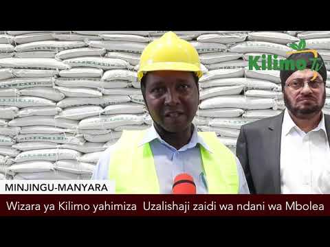 Video: Mbolea Ya Kijivu Ya Tulips