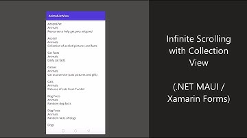 Infinite Scrolling using CollectionView In .NET MAUI / Xamarin Forms
