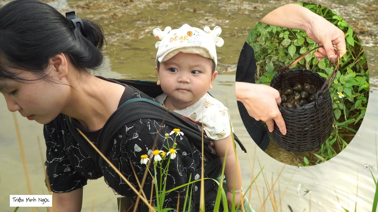 Single mother goes to catch snails - Survival #singlemother # ...