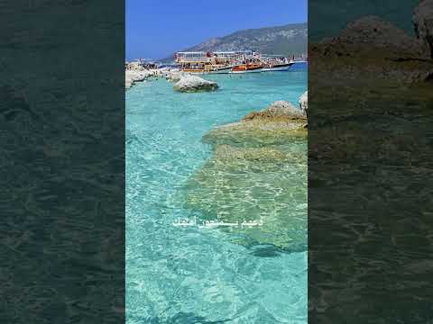 على تاريخ ذهب ولم يعد Princesss Shortsyoutube