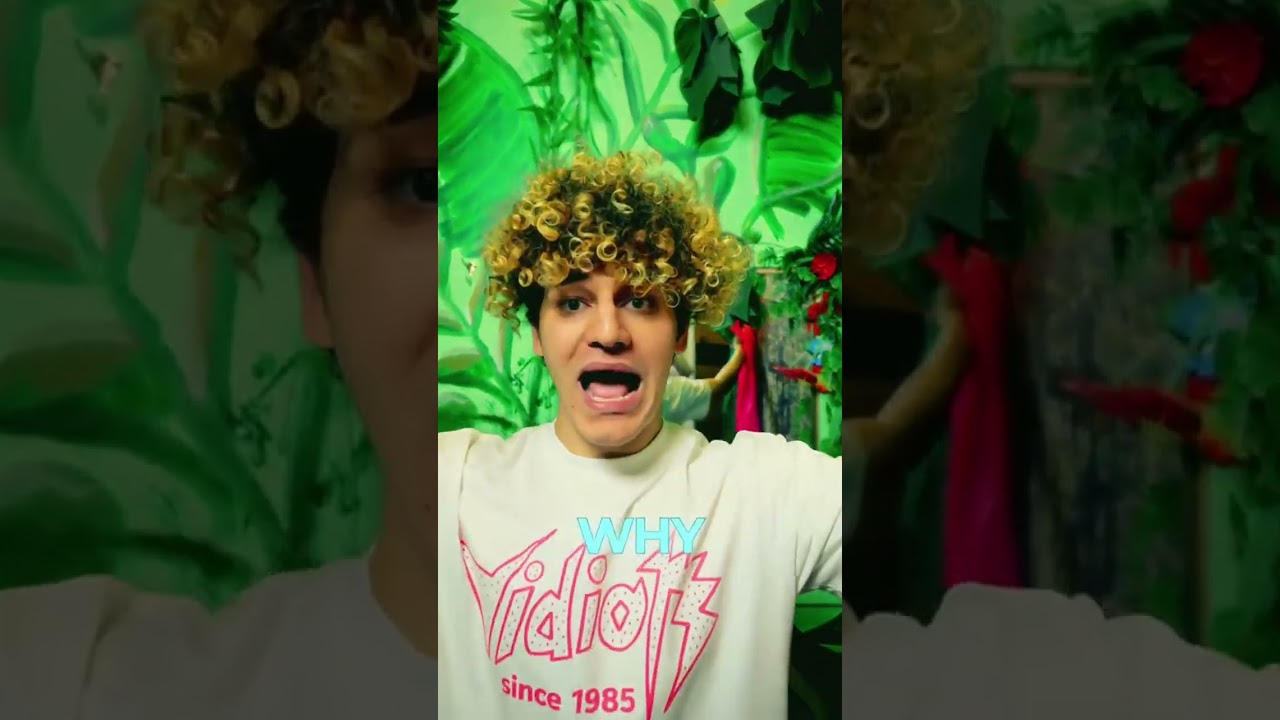 Hello Dayglow and Grouplove and 2Door and Darwin Deez fans....target audience acquired? 