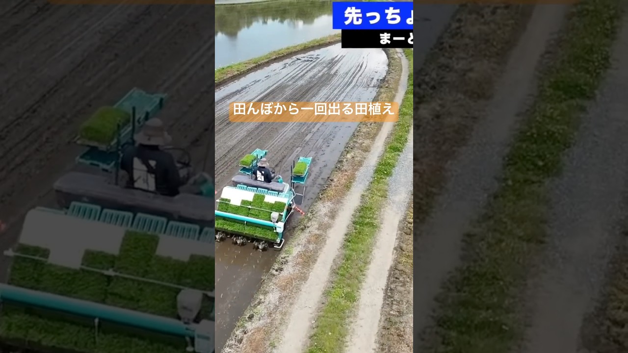 変形田んぼの田植え #密播 #密苗 #クボタ #田植え