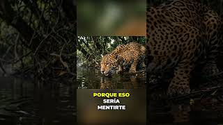 Jaguar vs Anaconda: Reyes del Amazonas en Peligro #shorts
