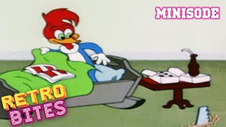 Helter Shelter | Minisode | Woody Woodpecker | Old Cartoons | Retro Bites