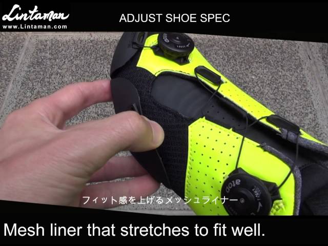 Lintaman Adjust Spec Japanese - YouTube
