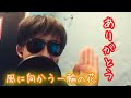 松田聖子/風に向かう一輪の花【うたスキ動画】