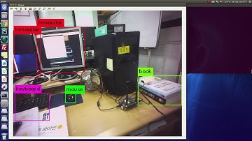 Darknet: YOLO video test2