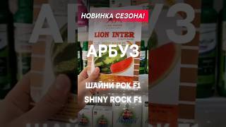 Новый тренд в арбузах 2026 Шайни Рок Ф1 Shiny Rock F1 Lion seeds