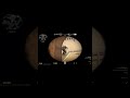 ЗДЕСЬ ТОЛЬКО ЗВУКИ AWP)) #cs2 #cs #game #gaming #girlgamer #counterstrike #игры