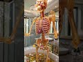 Skeleton Took an Egg Bath… Then THIS Happened 💀🥚