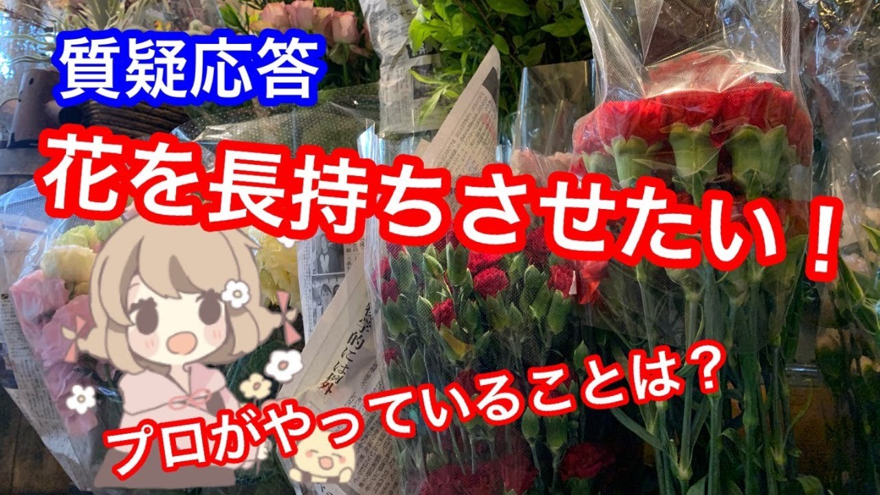 【質疑応答】花を長持ちさせるために花屋がやっていること