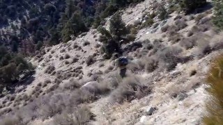 The Chase