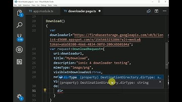 downloading files with ionic cordova native plugin
