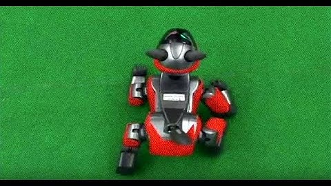 Robotics Capstone,  CSE 490, Winter 2004