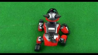 Robotics Capstone,  CSE 490, Winter 2004
