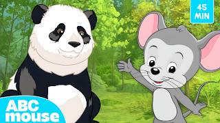 giant panda adventure more abcmouse search explore kids