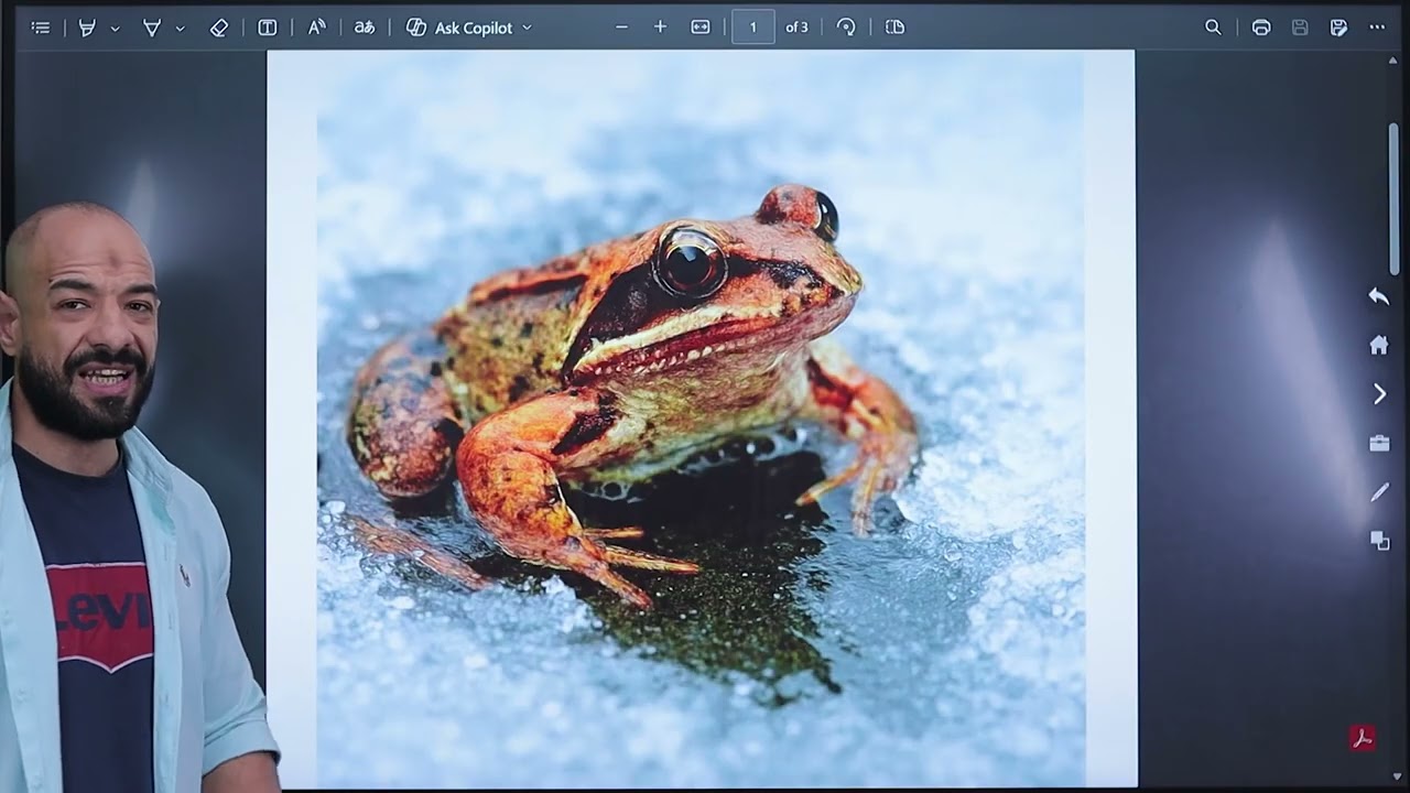 Wood frog vs ice fish 