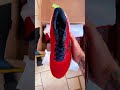 Mizuno Wave SkyWay