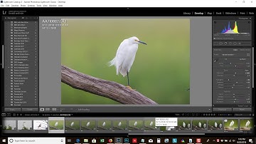 Syncing Images in the Lightroom Develop Module