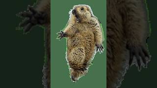 アーカイブ無し予定　雑談