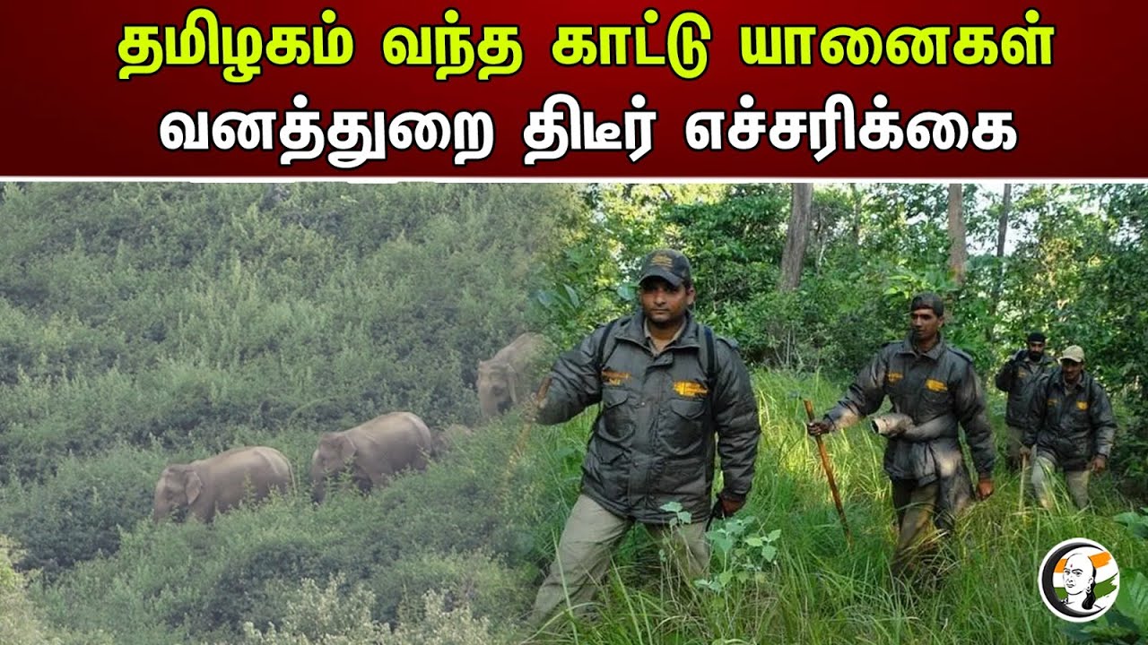 கரூரில் முருங்கை பூங்கா நிதி கேட்கும் தமிழகம் | Elephants | Hosur