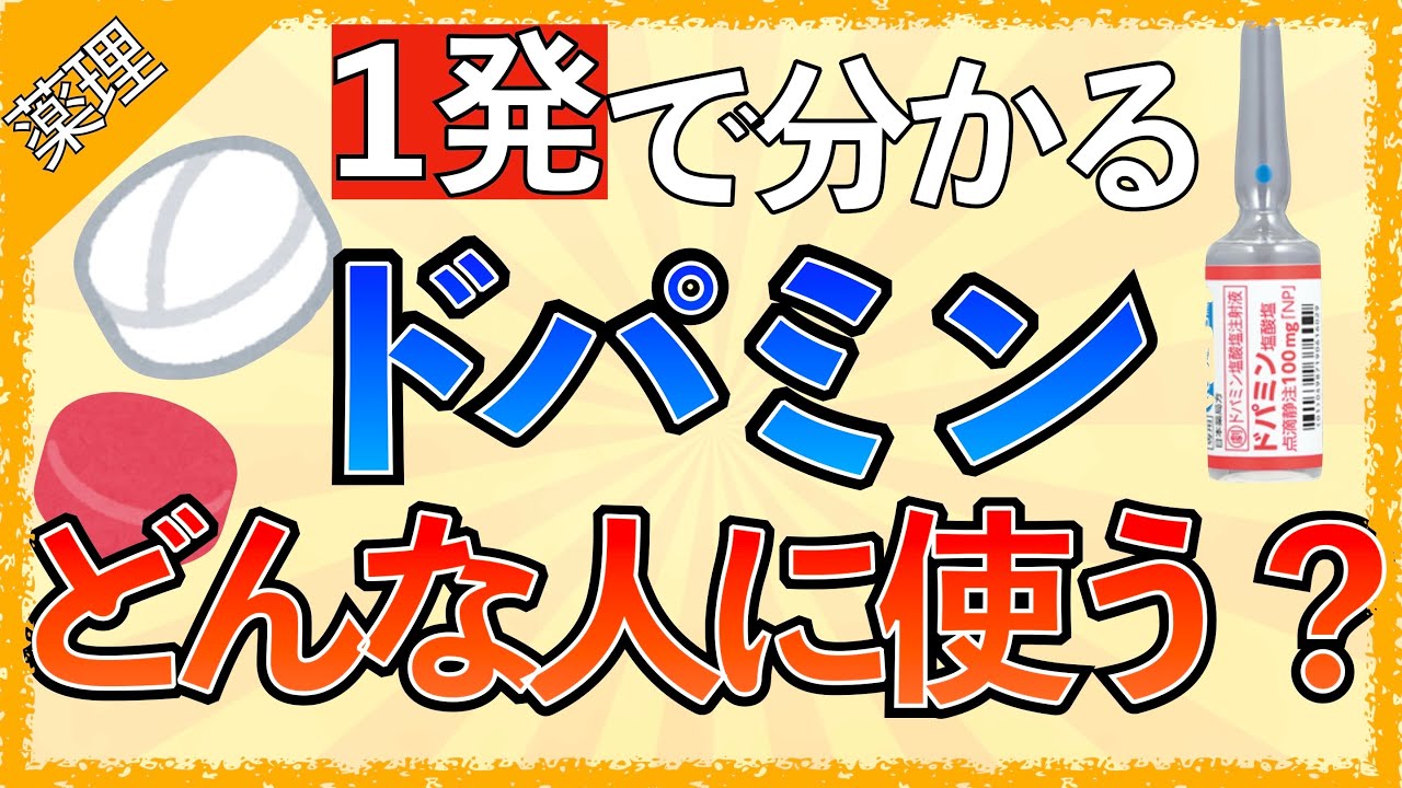 ヒポレイバー ドーパミン塩酸塩インサート
