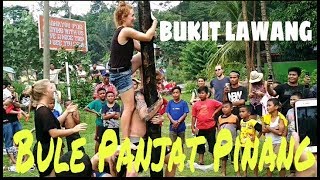 Ngakak Bule Panjat Pinang 17 Agustus 2017 Di Bukit Lawang  Greasy Pole Climbing Contest