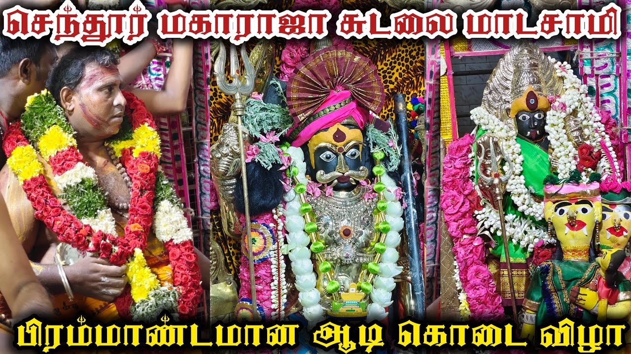 செந்தூர் மகாராஜா சுடலை மாடசாமி கோவில் ஆடி கொடி விழா 2025