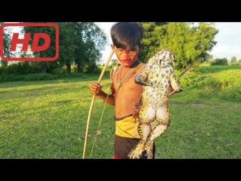 Как надуть лягушку
