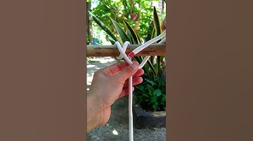 Swing Knot | A common Tying Swing Knot. #shorts #swing