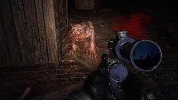 STALKER 2 First encounter with Bayuns Cat Mutant