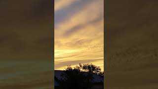 Download Lagu story wa GILGA SAHID-NEMU paling di cari#gilgasahid #subscribe MP3