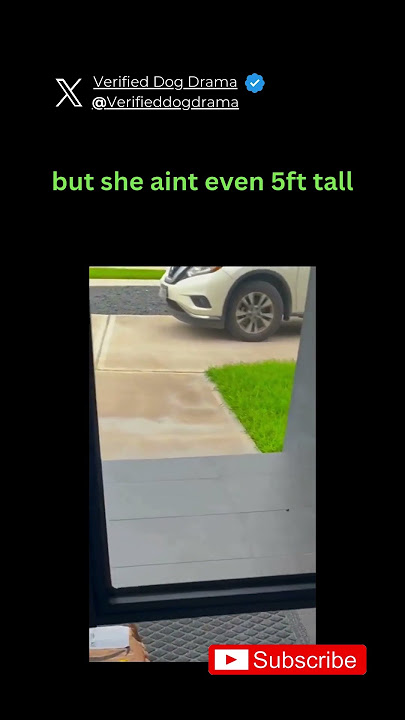 POV: You Made Your Girlfriend Mad… and She’s Fun-Sized Fury