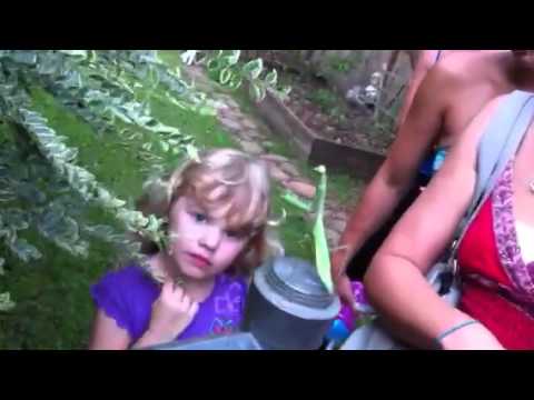 Praying mantis attacks