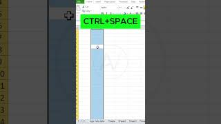 Select Entire Rows &amp; Columns in 1 Second #exceltips #shortcuts #productivity