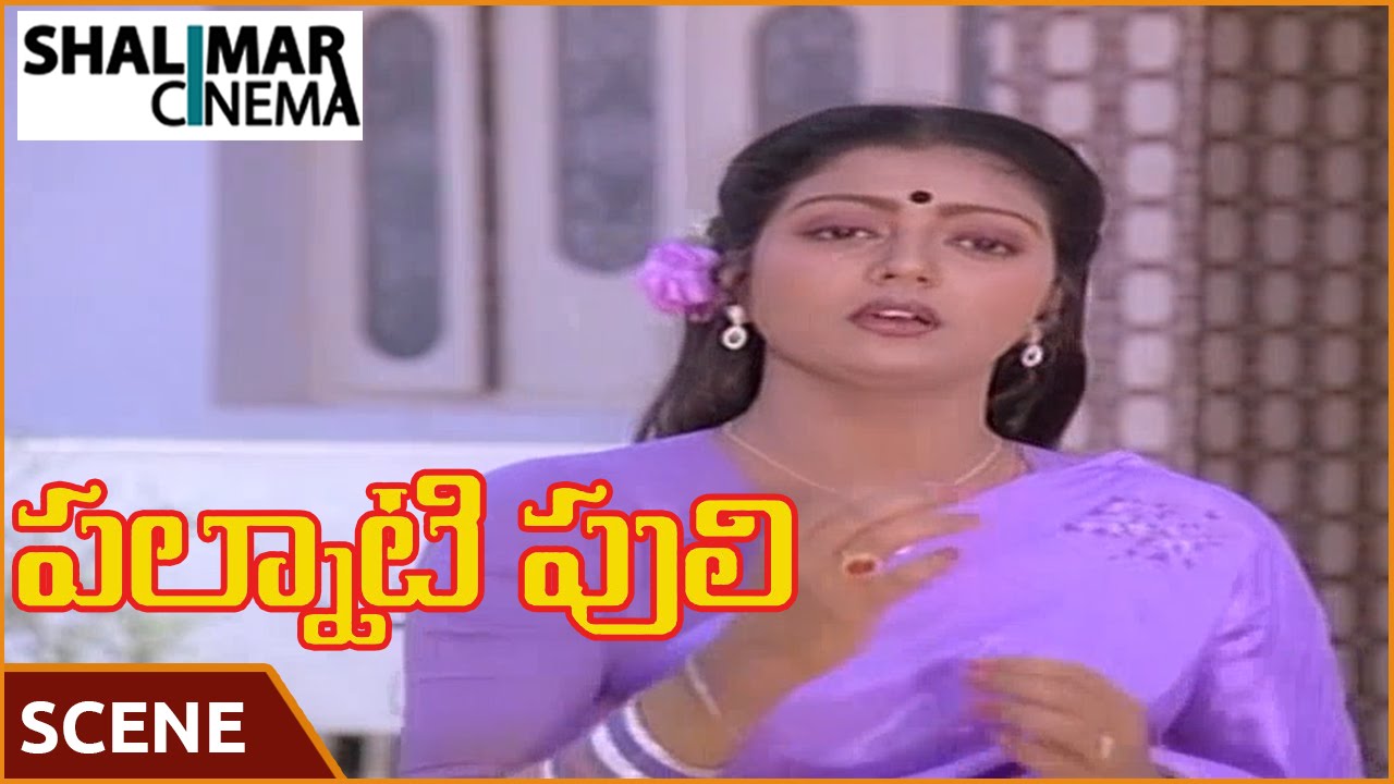 Palnati Puli Movie ||  Balakrishna Come to Bhanupriya House  Scene || Balakrishna , Bhanupriya