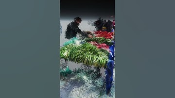 Daily’s part 5.Sundays flee market in Athens. #fyp #ai #aiart #pointcloud #unity #digitalart