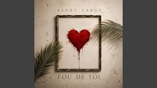 Fou de toi