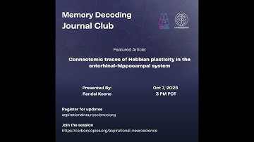 MDJC16 Connectomic traces of Hebbian plasticity in the EC-hippocampal system (Grasso et al, 2025)