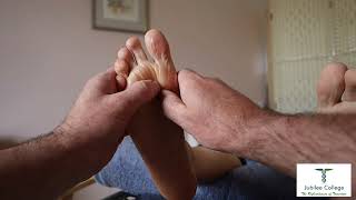 Endocrine Balance Reflexology Treatment with David Wayte