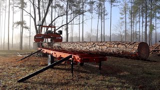 This Log Was WAY Too Long For The Sawmill