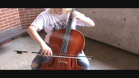 Dan Wesson Cello Lesson 3