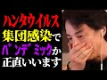 【ひろゆき 最新】※新型コロナの次に日本で感染拡大か※クルーズ船でハンタウイルス集団感染の実態とパンデミックの可能性について話します【切り抜き/ひろゆきの実/病気/医療/政治/ニュース】