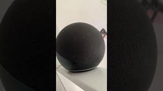 Alexa, what’s your name? ￼