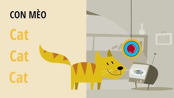 Bé học tiếng anh về động vật - Con mèo - Học Tiếng Anh miễn phí cùng TiDocs