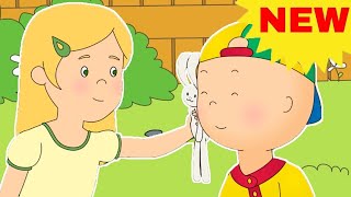 NEW FRIEND | Caillou New Adventures | Cartoons for Kids | WildBrain Bananas